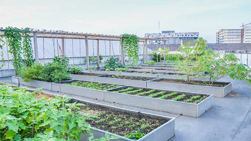 Roof Garden برای کاشت سبزیجات و گیاهان